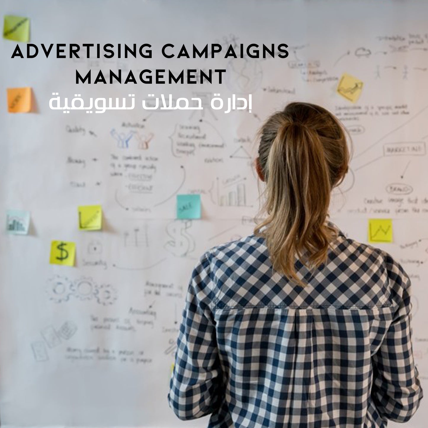Advertising campaigns management إدارة حملات تسويقية